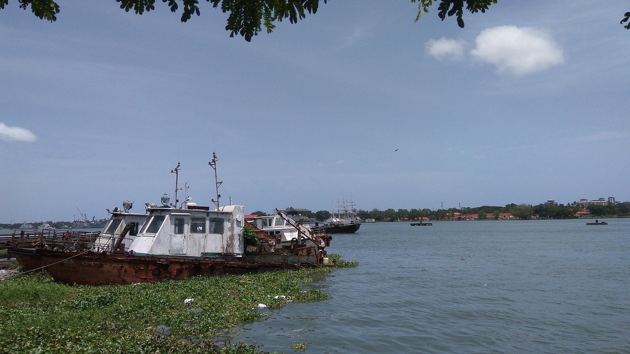river, boat, abandoned, water, canoe, lake, nature, tourism, kerala, india, cochin, kochi, cochin, cochin, cochin, cochin, kochi, kochi, kochi, kochi, kochi