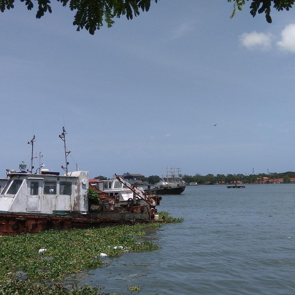 river, boat, abandoned, water, canoe, lake, nature, tourism, kerala, india, cochin, kochi, cochin, cochin, cochin, cochin, kochi, kochi, kochi, kochi, kochi